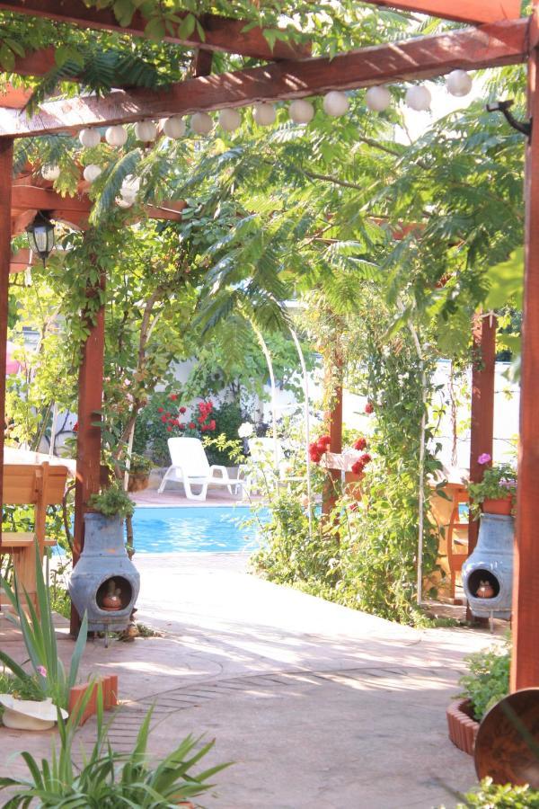 Alba Family Club Hotel Primorsko Eksteriør billede