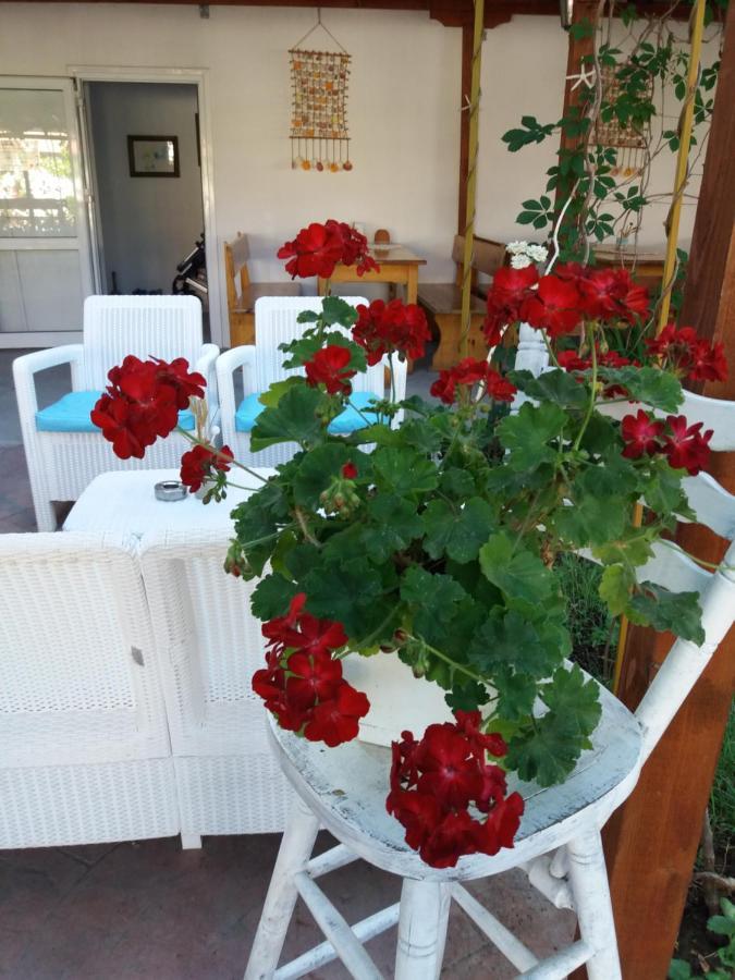 Alba Family Club Hotel Primorsko Eksteriør billede
