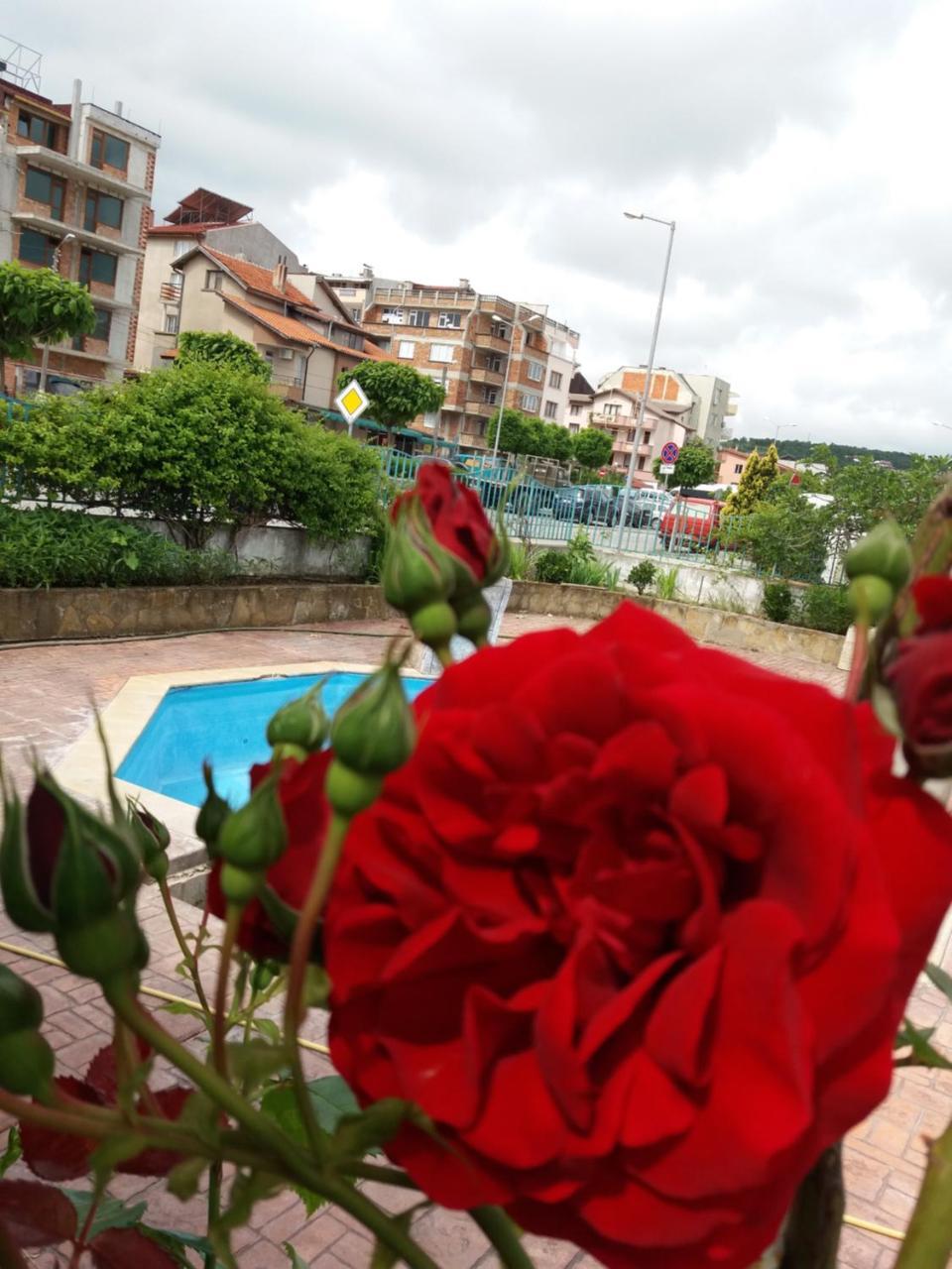 Alba Family Club Hotel Primorsko Eksteriør billede