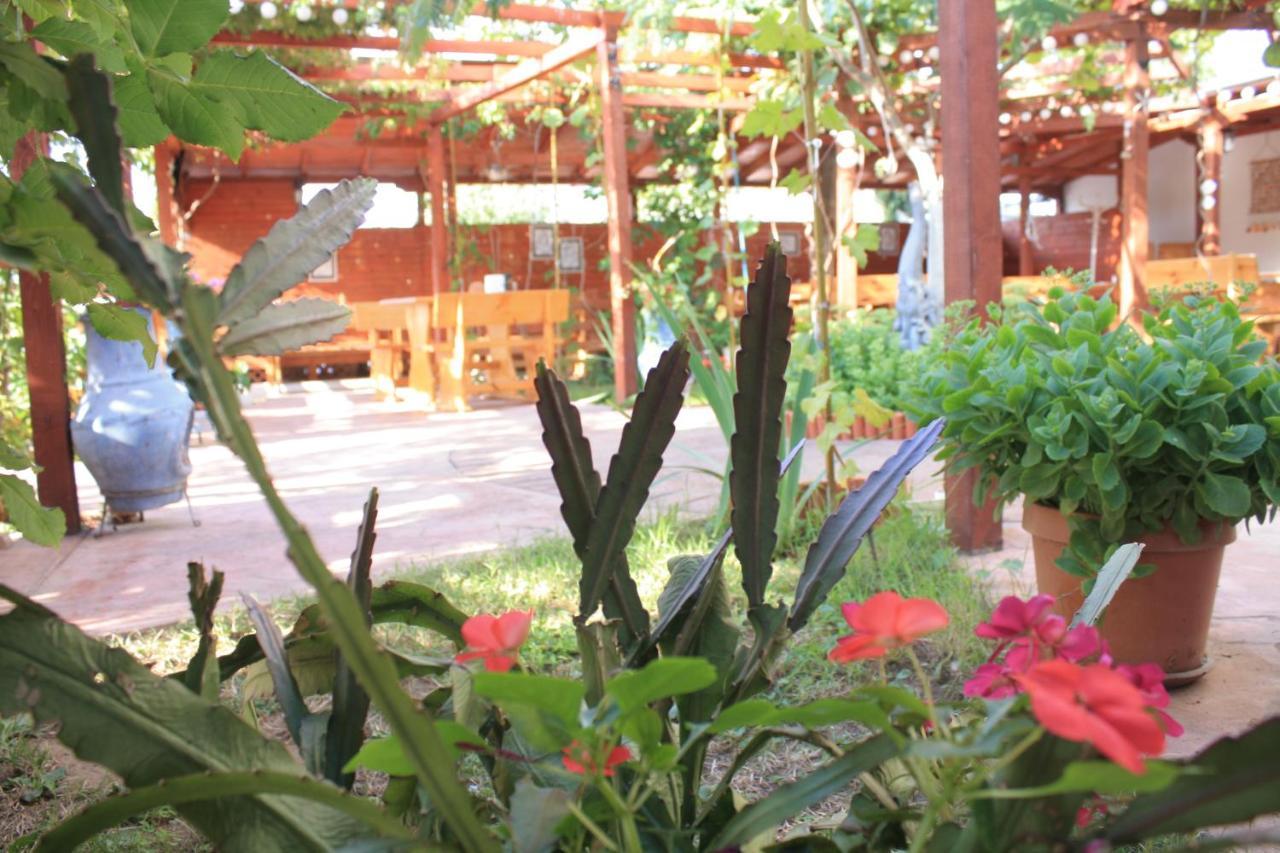 Alba Family Club Hotel Primorsko Eksteriør billede