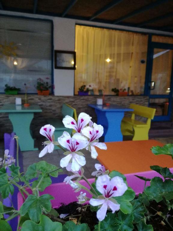 Alba Family Club Hotel Primorsko Eksteriør billede